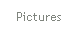 Pictures.